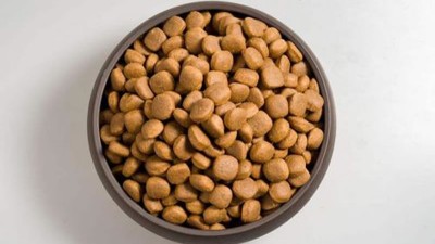 猫粮风味剂的生产如何选择酶制剂？