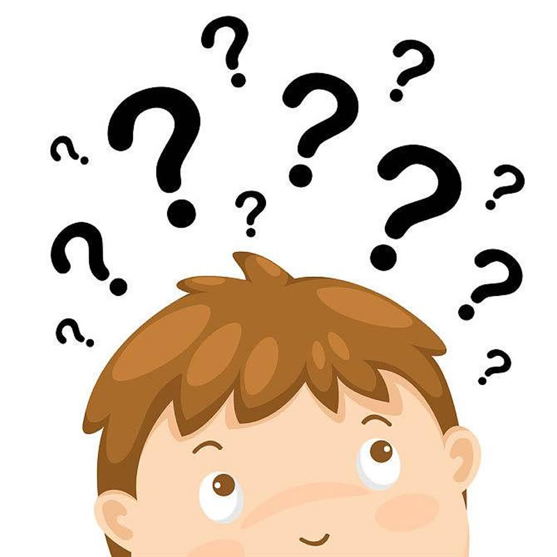 水解鸡肝生产宠物诱食剂用什么酶？