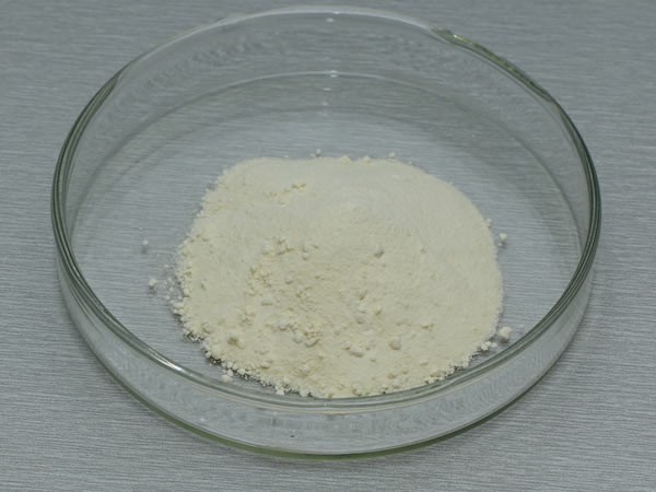 单宁酶（鞣酸酶，丹宁酶）Tannase
