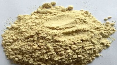 水解大豆分离蛋白做肽可用的酶制剂有哪些？