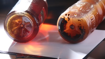 酒曲与酶制剂有什么区别？两个可以同时使用吗？