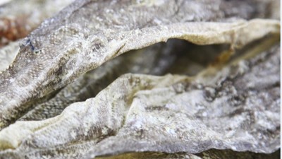 生产900道尔顿胶原蛋白肽，复合蛋白酶的优势有哪些？