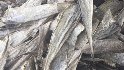 水解鱼皮做胶原蛋白肽有苦味，风味酶能去除苦味吗？