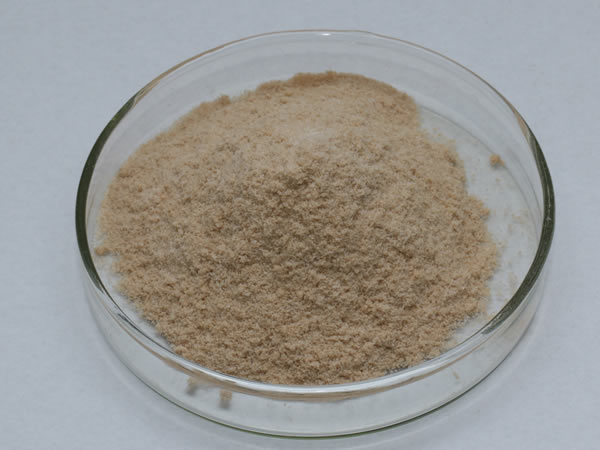膜清洗酶（膜清洗剂，洗涤酶）