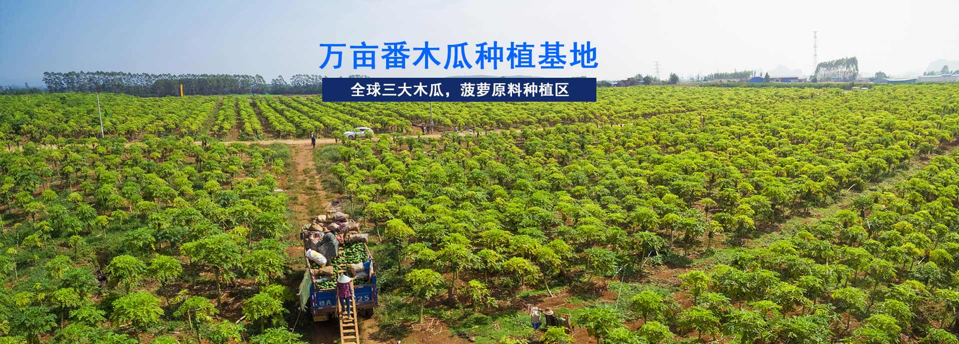 东恒华道-工业园占地5亩，生产车间10000㎡